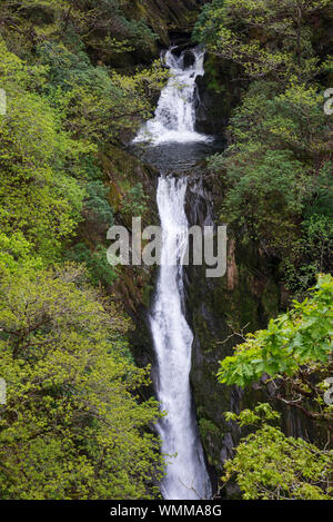 Devil's Bridge Falls, au Pays de Galles. Une attraction touristique bien connue près de Aberystwyth au milieu du Pays de Galles. Banque D'Images