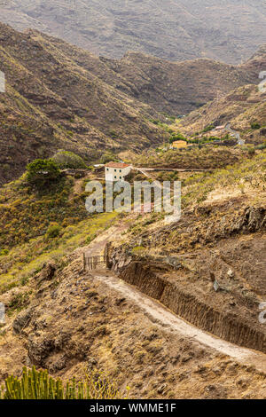Sentier, balade à vélo à travers l'canales de Catalanes de Anaga, Tenerife, Canaries, Espagne Banque D'Images