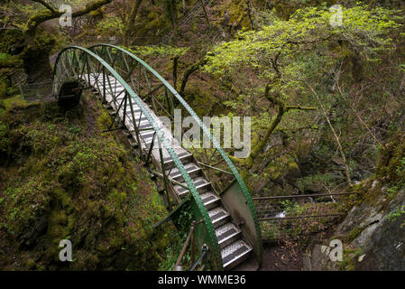 Devil's Bridge Falls, au Pays de Galles. Une attraction touristique bien connue près de Aberystwyth au milieu du Pays de Galles. Passerelle sur la rivière Mynach. Banque D'Images