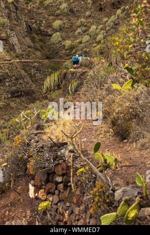 Sentier, balade à vélo à travers l'canales de Catalanes de Anaga, Tenerife, Canaries, Espagne Banque D'Images
