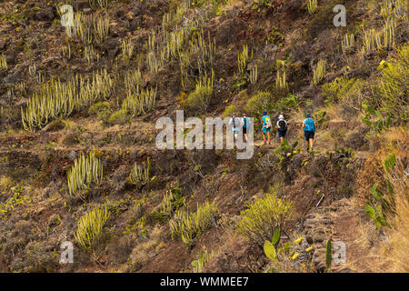 Sentier, balade à vélo à travers l'canales de Catalanes de Anaga, Tenerife, Canaries, Espagne Banque D'Images