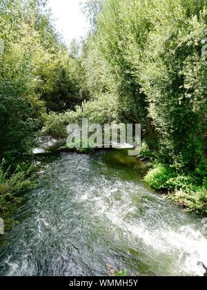 Canal de l'eau se précipiter à travers la forêt de coupe sur l'Île Nancy, juste en dessous de l'endroit où la rivière Oise rejoint la Seine, Andrésy, France Banque D'Images