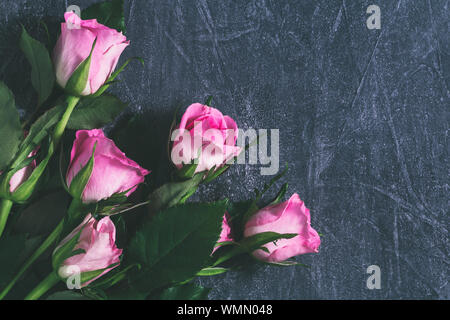 Close-up of Pink Roses qui fleurit dans l'eau Close-up of Pink Roses qui fleurit dans l'eau