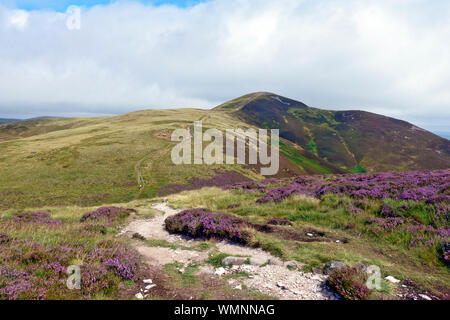 Carnethy Hill, le deuxième plus haut sommet (573m/1880ft) dans les Pentlands près d'Édimbourg, en Écosse et en route à l'échaudage droit qui est derrière l'extérieur de l'affichage Banque D'Images