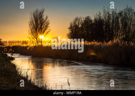 Le soleil se couche derrière un arbre au cours de la campagne néerlandaise près de Gouda. L'eau gelée dans le canal reflète les couleurs du ciel Banque D'Images