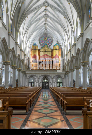 La Cathédrale Saint Joseph à 50 Franklin Street à Buffalo, New York le 11 juillet 2019. Le chœur abrite un tuyau 3 627 Hook & Hastings de l'orgue. L'Orgue Banque D'Images