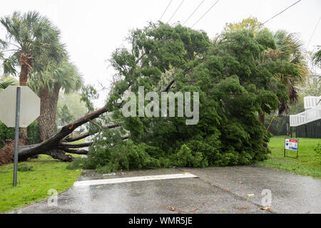 Sullivans Island, Caroline du Sud, USA. 12Th Mar 2019. Une branche d'arbre se bloque l'ensemble des lignes de transport d'électricité comme vents de force ouragan de catégorie 3 l'Ouragan Dorian arrive dans la région de Charleston Le jeudi 5 septembre 2019 dans Sullivans Island, Caroline du Sud. La tempête a détruit des parties de la France avant de se déplacer lentement sur la côte est des États-Unis Photo de Richard Ellis/UPI UPI : Crédit/Alamy Live News Banque D'Images