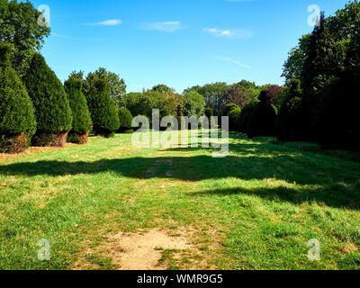 Yew Tree Avenue, près de Clipsham à Rutland, les plans sont prêts pour restaurer cette avenue de topiary if à leur ancienne gloire grâce à CYTAT Banque D'Images