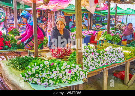 NYAUNGSHWE, MYANMAR - février 20, 2018 : la fleur de la section Marché Mingalar avec cabine, chrysanthèmes coupés offrant de différentes couleurs, sur Februar Banque D'Images