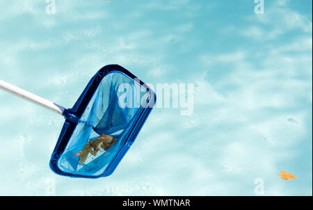 L'enlèvement des feuilles à partir d'une piscine intérieure avec un filet Banque D'Images