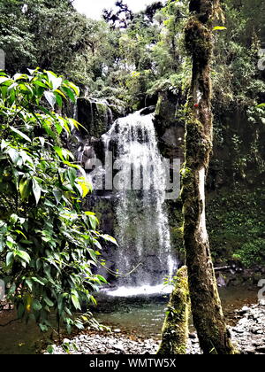 Chutes d'eau de Wendy dans la jungle et la forêt tropicale de Boquete, Panama. Cascade verdoyante de forêt tropicale dans le parc et les montagnes près de Boquete. Banque D'Images