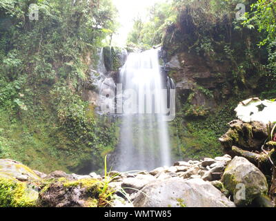 Chutes d'eau de Wendy dans la jungle et la forêt tropicale de Boquete, Panama. Cascade verdoyante de forêt tropicale dans le parc et les montagnes près de Boquete. Banque D'Images