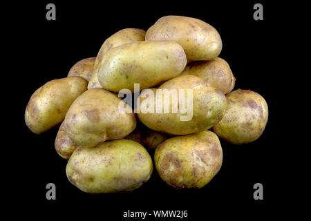 Nouvelle récolte de pommes de terre biologiques isolés contre un fond noir Banque D'Images