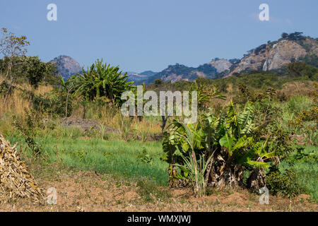 Paysage agricole dans le district de Mzimba, Malawi Banque D'Images