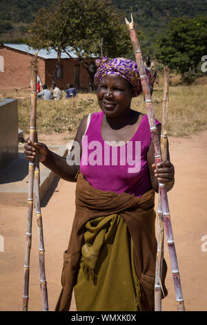 Agriculteur de Malawiens femme violet vif haut contient jusqu'canne à sucre Banque D'Images