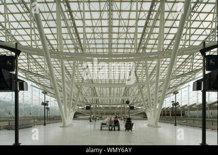 Paris, TGV-Station Charles-de-Gaulle, TGV-Bahnhof, Module d'échanges, Paul Andreu - Paris, TGV Station Charles-de-Gaulle, Module d'échanges, Paul André. Banque D'Images