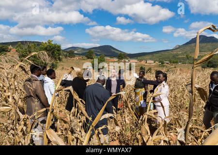 Holly Tett, haut commissaire britannique au Malawi, de discussions avec les agriculteurs locaux et les travailleurs de bienfaisance du Royaume-Uni à une visite dans les zones agricoles autour de Mzuzu. Banque D'Images