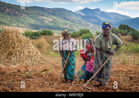 Les agricultrices démontrer la préparation des terres et l'agriculture durable dans le district de Mzimba, Malawi Banque D'Images