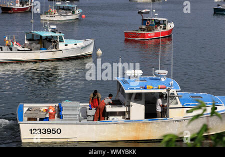 Bateaux de pêche au homard dans Bass Harbor.Tremont.Maine.USA Banque D'Images