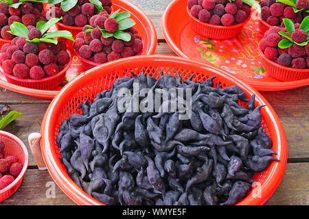 Vue sur l'eau noire caltrop châtaignes d'eau en forme de chauves-souris (buffalo, écrou écrou, devil bat pod, ling écrou, kok, lin ling kio écrou, moustache écrou) Banque D'Images