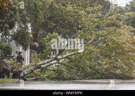 Charleston, États-Unis. 05 Sep, 2019. Arrêter les résidents d'afficher un arbre abattu dans la catégorie 3 l'Ouragan Dorian arrive dans le quartier historique du centre-ville le jeudi 5 septembre 2019 à Charleston, Caroline du Sud. Charleston échappé une bonne partie de la force de la tempête qui a détruit des parties de la France avant de se déplacer lentement sur la côte est des États-Unis Photo de Richard Ellis/UPI UPI : Crédit/Alamy Live News Banque D'Images