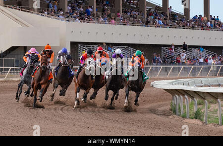 Chevaux et jockeys le tour du premier virage sur la piste à l'Arizona Downs à Prescott, en Arizona, du 1 septembre 2019. Version 2 Banque D'Images