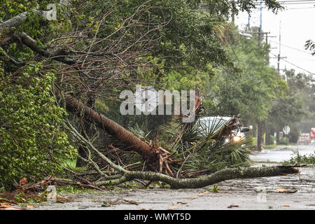 Charleston, États-Unis. 05 Sep, 2019. Les arbres abattus bloquer une rue que l'ouragan de catégorie 3 Dorian arrive dans le quartier historique du centre-ville le jeudi 5 septembre 2019 à Charleston, Caroline du Sud. Charleston échappé une bonne partie de la force de la tempête qui a détruit des parties de la France avant de se déplacer lentement sur la côte est des États-Unis Photo de Richard Ellis/UPI UPI : Crédit/Alamy Live News Banque D'Images