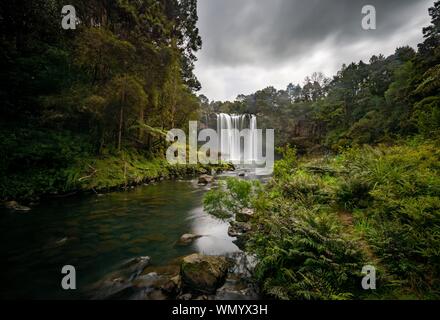 Cascade, Rainbow Falls ou Waianiwaniwa, Kerikeri River, Northland, North Island, New Zealand Banque D'Images