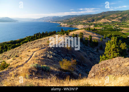 Vue sur la montagne de Naramata Bench Munson dans l'Okanagan Valley ville de Penticton, Colombie-Britannique, Canada. Banque D'Images