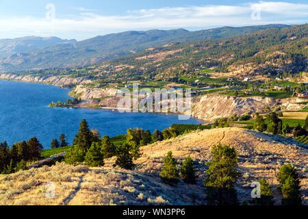 Vue sur la montagne de Naramata Bench Munson dans l'Okanagan Valley ville de Penticton, Colombie-Britannique, Canada. Banque D'Images