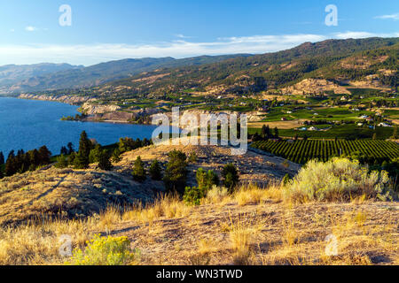 Vue sur la montagne de Naramata Bench Munson dans l'Okanagan Valley ville de Penticton, Colombie-Britannique, Canada. Banque D'Images