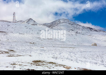 Montagnes Alborz, la province de Téhéran, Iran Banque D'Images