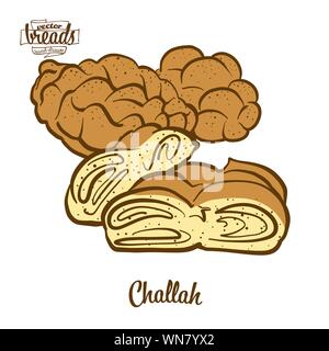 Dessin couleur de pain challah. Vector illustration de faits de nourriture, habituellement connu en Pologne et en Israël. Pain de couleur des croquis. Illustration de Vecteur