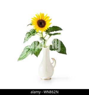Fleurs de tournesol en vase en porcelaine vintage. Helianthus vivace. Seul objet isolé sur fond blanc chemin de détourage inclus. Gard d'été Banque D'Images