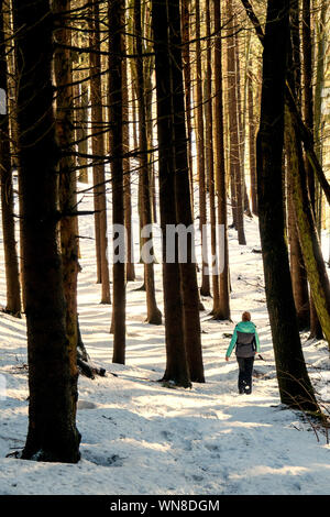 Femme rousse randonnée à travers un paysage hivernal merveilleux dans la forêt près de Zell am Pettenfirst, Autriche Banque D'Images