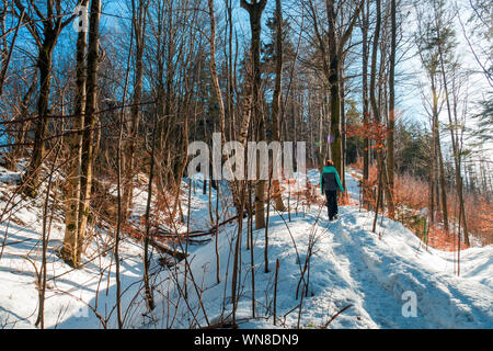 Femme rousse randonnée à travers un paysage hivernal merveilleux dans la forêt près de Zell am Pettenfirst, Autriche Banque D'Images