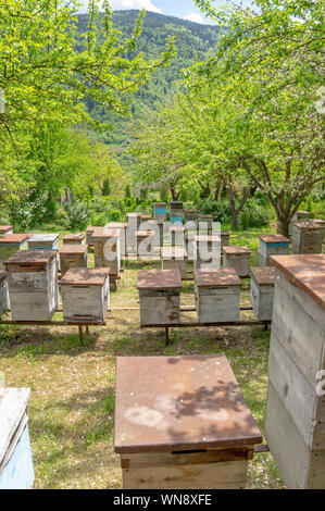 Ruches dans un beau jardin fleuri, production de miel biologique près de Borjomi, Géorgie Banque D'Images