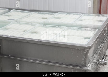 Bain d'eau de refroidissement pour la mozzarella sur une usine de production dans le cadre du processus de fabrication. La production de lait et fromage Banque D'Images