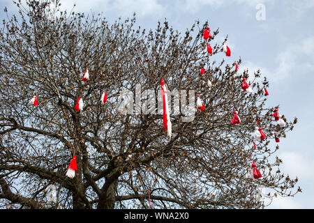 Beaucoup de coutume traditionnelle bulgare Martenitsa signe du printemps sur l'arbre Banque D'Images