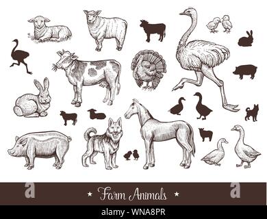 Les animaux de ferme handdrawn vintage set avec vache, mouton, porc, cheval, chien de garde, de l'autruche, le canard, le lapin, l'OIE, la Turquie, l'agneau porc fine ligne sketch et silhouettes vector illustration Illustration de Vecteur