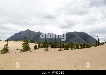 Désert de Carcross, au Yukon, le Canada, le désert le plus petit du monde. Banque D'Images