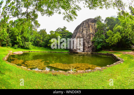 Piscine octogonale, Sigiriya, Sri Lanka Banque D'Images