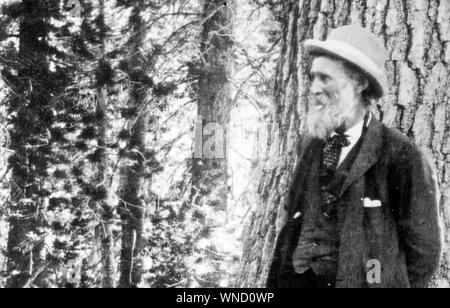 JOHN MUIR (1838-1914) naturaliste et pionnier de l'environnement Scvottish-American Banque D'Images