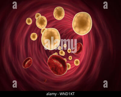 Des cellules de graisse et d'érythrocytes dans le sang, à l'intérieur du vaisseau sanguin, de haute qualité de rendu 3D de cellules du sang, le cholestérol dans le sang d'un Banque D'Images