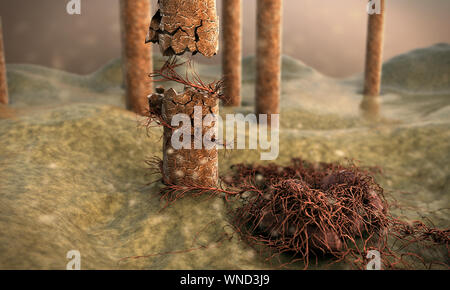 Image de la peau avec l'appareil photo, cheveux vole au-dessus de la surface de la peau, 3d illustration de cheveux, cheveux de tuer le champignon Banque D'Images