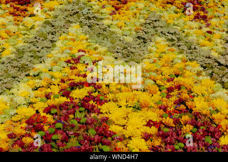 De belles fleurs pour fond de scène de mariage Banque D'Images