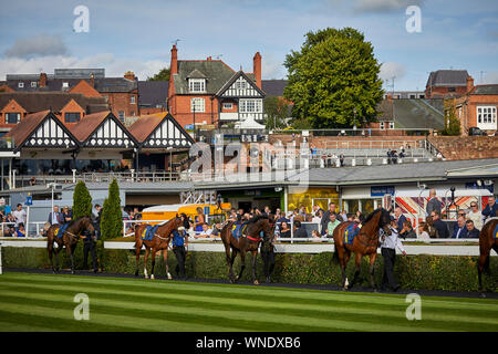 Ensemble nuit à l'hippodrome de Chester Banque D'Images