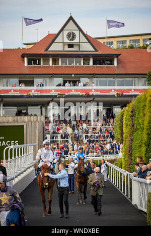 Ensemble nuit à l'hippodrome de Chester Banque D'Images