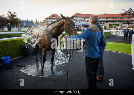 Ensemble nuit à l'hippodrome de Chester Banque D'Images