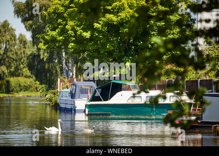 Canal de Bridgewater petite marina Appleton Warrington, Cheshire, Angleterre. Banque D'Images